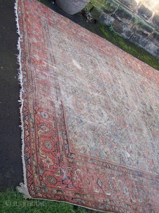 Ferraghan carpet- one of a couple of pieces I have recently acquired from an old country house in the North-East of England, though living where I do the sun doesn't reach the  ...