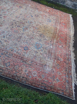 Ferraghan carpet- one of a couple of pieces I have recently acquired from an old country house in the North-East of England, though living where I do the sun doesn't reach the  ...