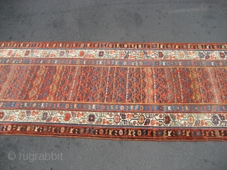 Kurd Bidjar Runner, 3' 2" x 14' 4" overall.  Width varies to maximum of about 3' 4".  Wool-on-wool construction. Probably late 19th or early 20th century.  Edges and ends  ...