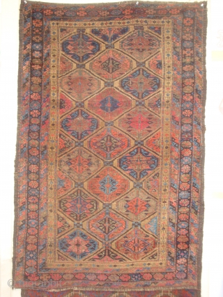 Baluch Gul Lattice Rug, symmetrical knots, possibly Bahluli, 33 x 61 inches.  Late 19th century.  These photos cannot convey the variety of vivid colors including a deep Aubergine (the lattice,  ...