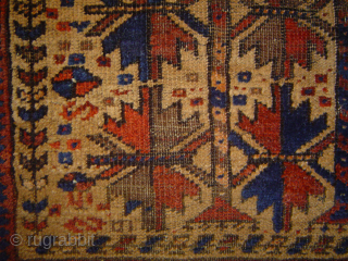 detail, antique baluch prayer rug, 3 Trees on Camel Field, 78 x 130 cm.  luscious wool in shades of caramel and cafe au lait. USD 1350.- includes shipping in U.S.   ...