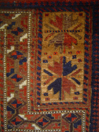 detail, antique baluch prayer rug, 3 Trees on Camel Field, 78 x 130 cm.  luscious wool in shades of caramel and cafe au lait. USD 1350.- includes shipping in U.S.   ...