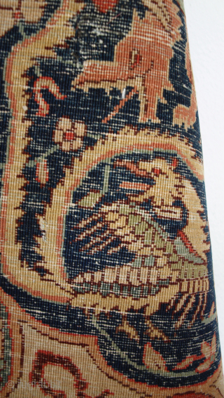 Petag carpet fragment.                              