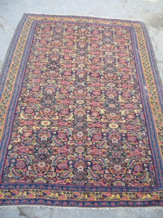Very Exceptional Senneh Kilim,supereb fine weaving,extra ordinary good dyes,all original without any work done,very supereb condition.Size 6'7"*4'7".E.mail for more info.             