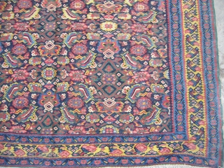 Very Exceptional Senneh Kilim,supereb fine weaving,extra ordinary good dyes,all original without any work done,very supereb condition.Size 6'7"*4'7".E.mail for more info.             