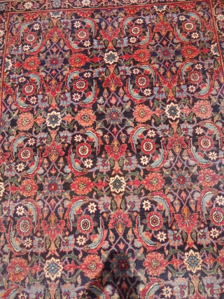 Beautiful Yezd carpet with herati pattren,very nice colors and fine weave,good age.E.mail for more info.                  