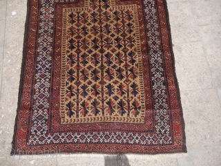 Pretty Baluch Prayer Rug with very good desigen and condition,good age and colors,fine weave,very nice desigen.Size 4'9"*3.E.mail for more info and pics.           