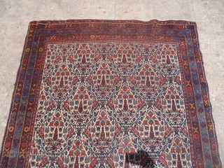 Ivory Ground Afshar rug with garden design,all good colors fine weave,good age.Size 5'7"*4'2".E.mail for more info and pics.
               