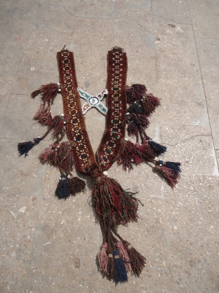 Piled Baluch Animal trapping,fine weave,all good colors,good age and soft wool.A  rare trapping with excellent condition.E.mail for more info.
             