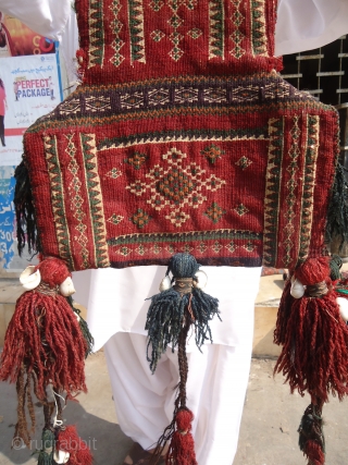 Sistan Baluchi Namak Daan (Salt Bag), very fine weave and good colors,Perfect condition and good age.E.mail for more info.              