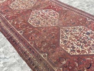 Large Qashgai 12x7.5 ft                             