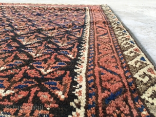 311 BELOCHI RUG FT (4 x 2.8) M (1.23 x 0.81)                      