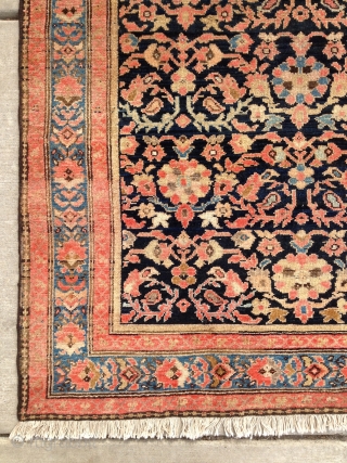 Antique Malayer great colors and design. Good even pile. It needs nothing but a place to display. Please read my profile for more info about me. Come and visit us in my  ...