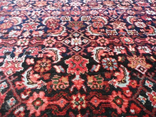 Size 3'6 X 4'6... 
KPSI 350... 
Age ANTIQUE... 
Origin IRAN... 
Design FINE BIJAR... 
Materials 100% WOOL...
visit - www.1000sofrugs.com 
              