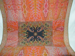 Tree design Kalamkar long Shawl Showing the, twelve different variation of colour combination From Kashmir, India.C.1870.Its Size is 148cmx310cm. Condition Miner holes, which can be possible to make repair (DSC03744 New).  