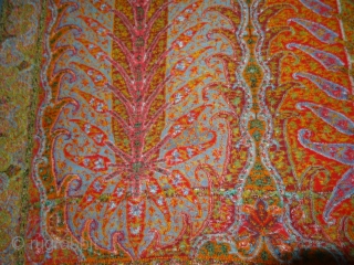 Tree design Kalamkar long Shawl Showing the, twelve different variation of colour combination From Kashmir, India.C.1870.Its Size is 148cmx310cm. Condition Miner holes, which can be possible to make repair (DSC03744 New).  