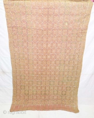 Rare Nau Khund Bandhani (Tie and Dye) Garchola Panetar (Wedding Saree) Saree with Real Zari Brocade Pallu. From Jamnagar Gujarat India. India. Late 19th Century Natural Dye Tie and Dye on the  ...