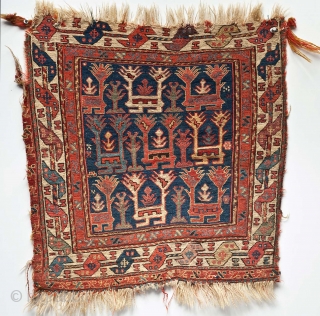 Shahsevan soumak bag-face 60cm x 50cm .. Very early of its type, tight gritty weave and staggering colour. Loss as seen.   From my collection ...
A couple of detail images have  ...