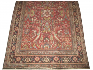 



Mahal Persian knotted circa in 1920 antique, collector's item, 313 x 217 (cm) 10' 3" x 7' 1"  carpet ID: P-5370
The knots are hand spun lamb wool, the black knots are  ...