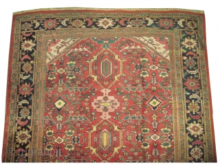 Mahal Persian, knotted circa in 1918 antique. 312 x 216 (cm) 10' 3" x 7' 1" 
 carpet ID: P-5854
The black knots are oxidized, the knots are hand spun wool, at the  ...