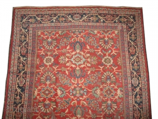 Mahal Persian knotted circa in 1926 antique, 343 x 234 (cm) 11' 3" x 7' 8" 
 carpet ID: P-6083
The black knots are oxidized, the knots are hand spun lamb wool, all  ...