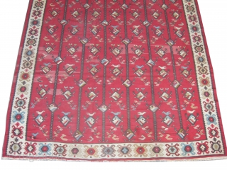 
Shasrkoy Art Deco period 1924, 260 x 258 (cm) 8' 6" x 8' 6"  carpet ID: A-523
Woven with hand spun wool, the background color is brick, the surrounded large border is  ...