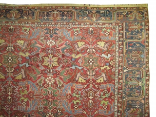  	

Bakshaish Heriz Persian knotted circa in 1910 antique, collector's item, 310 x 230 (cm) 10' 2" x 7' 6"  carpet ID: P-3598
The knots are hand spun wool, the black knots  ...