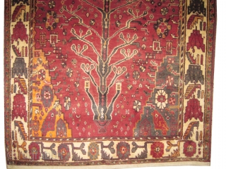 



Gabbeh Nomad Persian semi antique, 162 x 111 cm,  carpet ID: T-576
The knots are hand spun lamb wool, tree of life design, the edges are finished with 2cm kelim, the shirazi  ...
