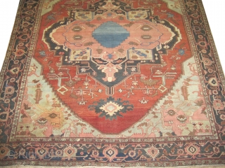 


Bakshaish Heriz Persian, knotted circa in 1880 antique, collectors item, 340 x 284 cm
 carpet ID: UD-1
The black knots are oxidized, the selvages are woven on two lines with blue wool, the  ...