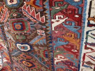 Sauj Bulagh Rug Fragment,125x175cm,beautiful pallete of natural dyes,shining soft wool,generaly in good pile,great rug!                   