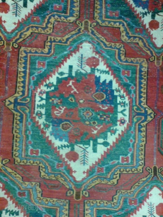 bakhtiyar carpet 19 century .                            