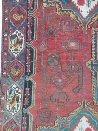 bakhtiyar carpet 19 century .                            