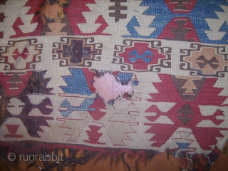 mut yörük kilim
333x080                              