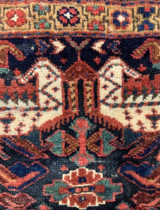 NW Persian Kurdish Sanjabi Bagface. Has some old moth damage, clean and glowing wool and colors. 22” x 21” - 56 x 53 cm.         