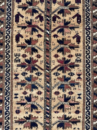 Baluch Balisht - late 19th c. - 21" x 34" - 53 x 87 cm                  