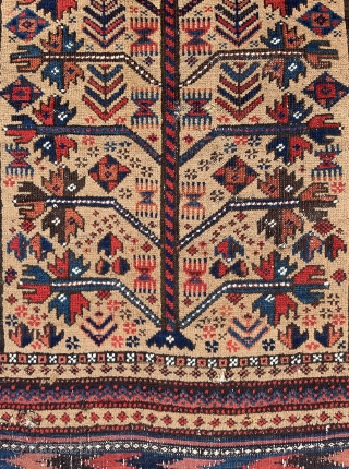 Please take some time and look at the details, the use of colors and proportional drawing the weaver of this beautiful Baluch Prayer Rug has achieved. - 19th century.  -   ...