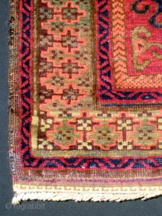 Baluch (Mushwani) prayer rug, 31 X 50".  Excellent condition; uniform high pile, just slight fraying of selvages, 1 inch of kilim remains on top and bottom.  Contains a tip-faded olive  ...