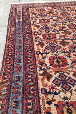 A beautiful Afshar with a scattered Mina Khani design. From the late 19th century, measures out to 4-2 x 5-11 ft. Some minor repairs, as can be seen in the photos provided.  ...