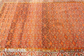 Malayer Antique Persian Rug, 1900-1920
194 × 135 cm (6' 4" × 4' 5")                    