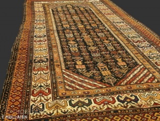 This is an antique Kurdish rug from the northwest of Persia and it was woven circa 1920. It has been woven on a 100% wool foundation with all wool pile and all  ...