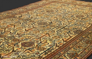 Nice Antique Dorokhsh Persian Carpet, ca. 1920

381 × 220 cm (12' 6" × 7' 2"),

Price for Extra EU citizens/UE Companies: €980.00            