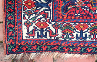 Large Southwest Persian Rug/Bag Face-- approx 26 × 41”

Bright saturated colors. Possibly Luri-Bahktiari. Note bird motifs (Khamseh influence?). Interest in tribal textiles eventually compelled JD to seek things other than Baluch.

Ex James  ...