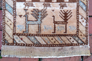 Caucasian Tribal Bag Face-- 18 × 20” 


Border affirms Caucasian origin. Large bold Peacock figures hark of Shasavan. 

CONDITION: Excellent with minor imperfections as shown.

Call Rob @ the shop for discussion of  ...