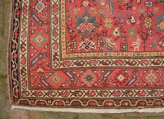 Malayer 4 ft 5 x 13 ft 6 inches. Obviously rare and unusual size. possibly 19th century. Pretty nice condition. Low but no foundation showing. Note red abrash.
$40 UPS to Lower 48. 