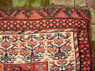 Kurdish. 3 ft 10 in  x 9 ft 0 in-- Glowing circa 19th century. White border with early Sauj Bulak design. Referred to as Western Mountains Kurd as well as Sauj  ...