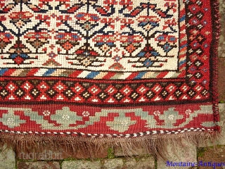 Kurdish. 3 ft 10 in  x 9 ft 0 in-- Glowing circa 19th century. White border with early Sauj Bulak design. Referred to as Western Mountains Kurd as well as Sauj  ...