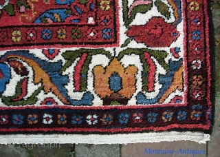 Bahktiari-- 5 ft 1  x 6 ft 10 inches. Lively and decorative with ivory border and lots of different colors.  Looks like there is foundation showing in the yellow in  ...