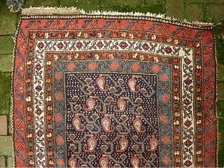 Early Tribal Runner.  3 ft 3 inch x 10 ft Lovely, ethnographic w/ archaic old designs. cf. Kurdish/NW mountains area-- circa 1880s? $20 ups shipping to lower 48. as-found. Obviously needs  ...