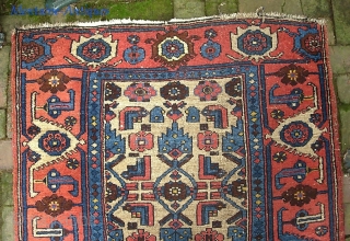 Kurdish-- 3 ft 4 x 6 ft 1 in.  Old well used rug with camel field and beautiful red turtle border.  Low and a little bit tatty around the edges--  ...