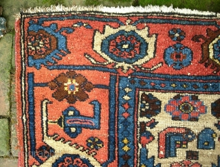 Kurdish-- 3 ft 4 x 6 ft 1 in.  Old well used rug with camel field and beautiful red turtle border.  Low and a little bit tatty around the edges--  ...